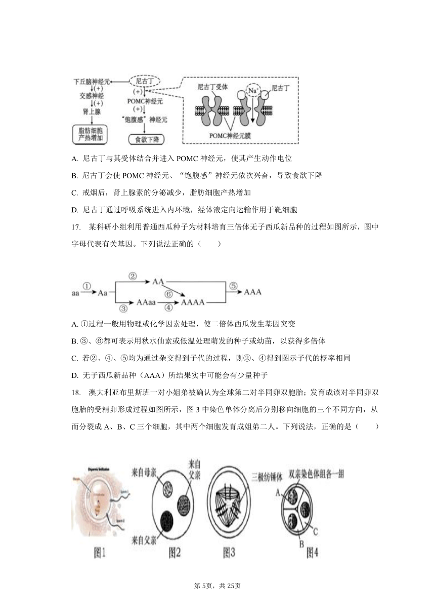 2023-2024学年江苏省南通市如东县高三（上）期初生物试卷（含解析）