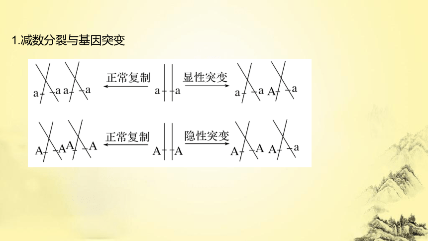 高考生物总复习微专题4 减数分裂与可遗传变异的关系(课件共23张PPT)