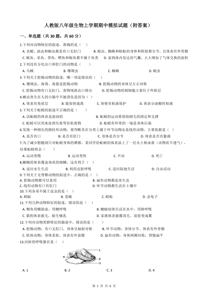 人教版八年级生物上学期期中模拟试题（附答案）