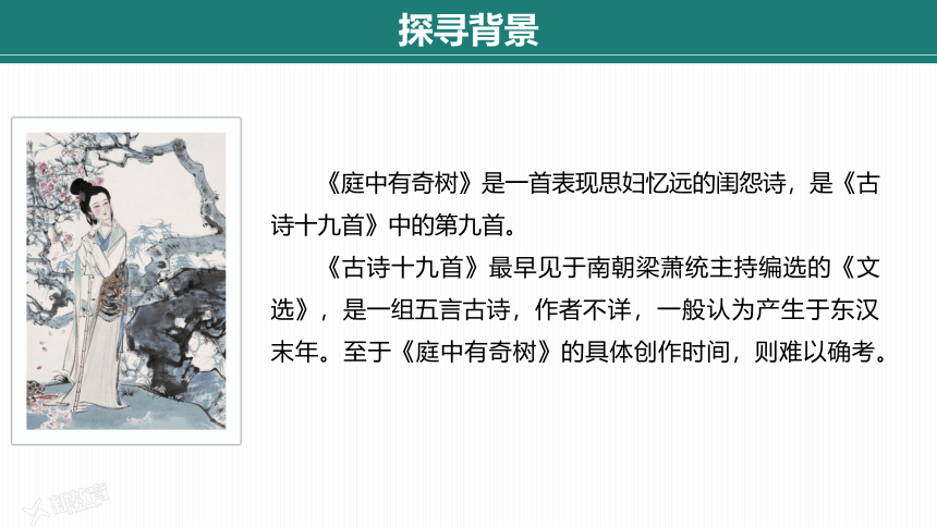 课外古诗词诵读——庭中有奇树课件(共20张PPT)部编版八年级上