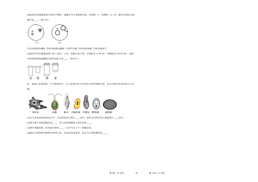 1.2细胞的多样性和统一性同步练习2023——2024学年高一生物人教版（2019）必修1（含解析）