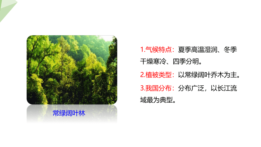 3.7.2 我国的植物资源 课件 (共23张PPT)2023-2024学年初中生物北师版七年级上册