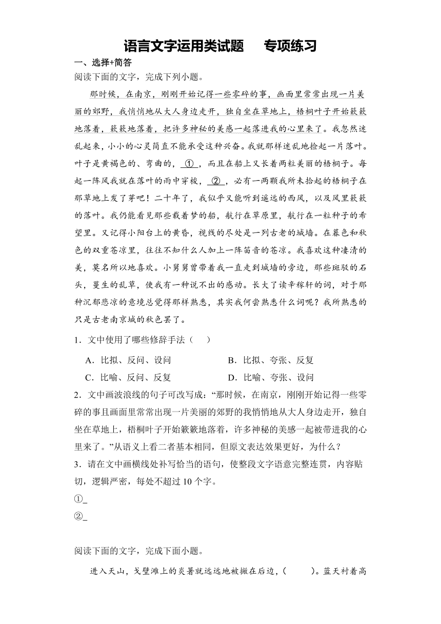 2024高考复习高中语文二轮复习 语言文字运用类试题（表达题组 选择 简答两题型）专项练习（含解析）