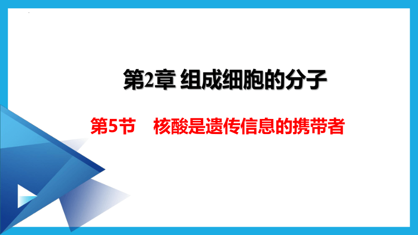 2.5核酸是遗传信息的携带者 课件(共39张PPT)