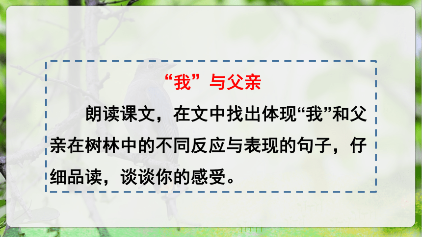 23.《父亲、树林和鸟》第二课时课件（共35张PPT）