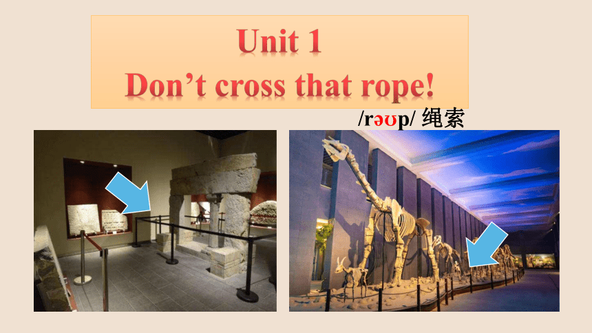 Module 5 Museums Unit 1 Don't cross that rope!课件(共33张PPT)+内嵌音频