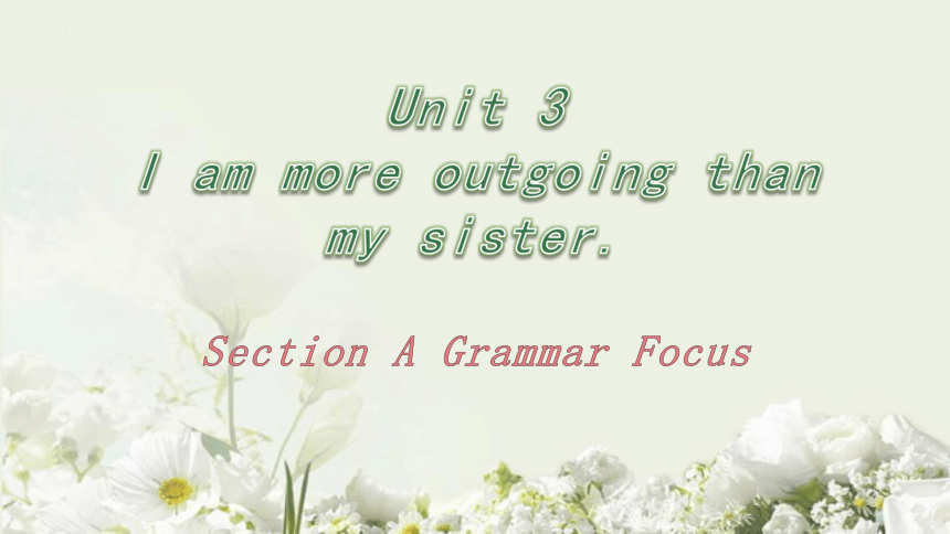 Unit 3 I'm more outgoing than my sister.  Section A Grammar Focus 课件 (共44张PPT)