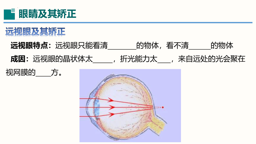 3.7眼睛与光学仪器-2023-2024学年八年级物理上册同步精品课堂（沪粤版）