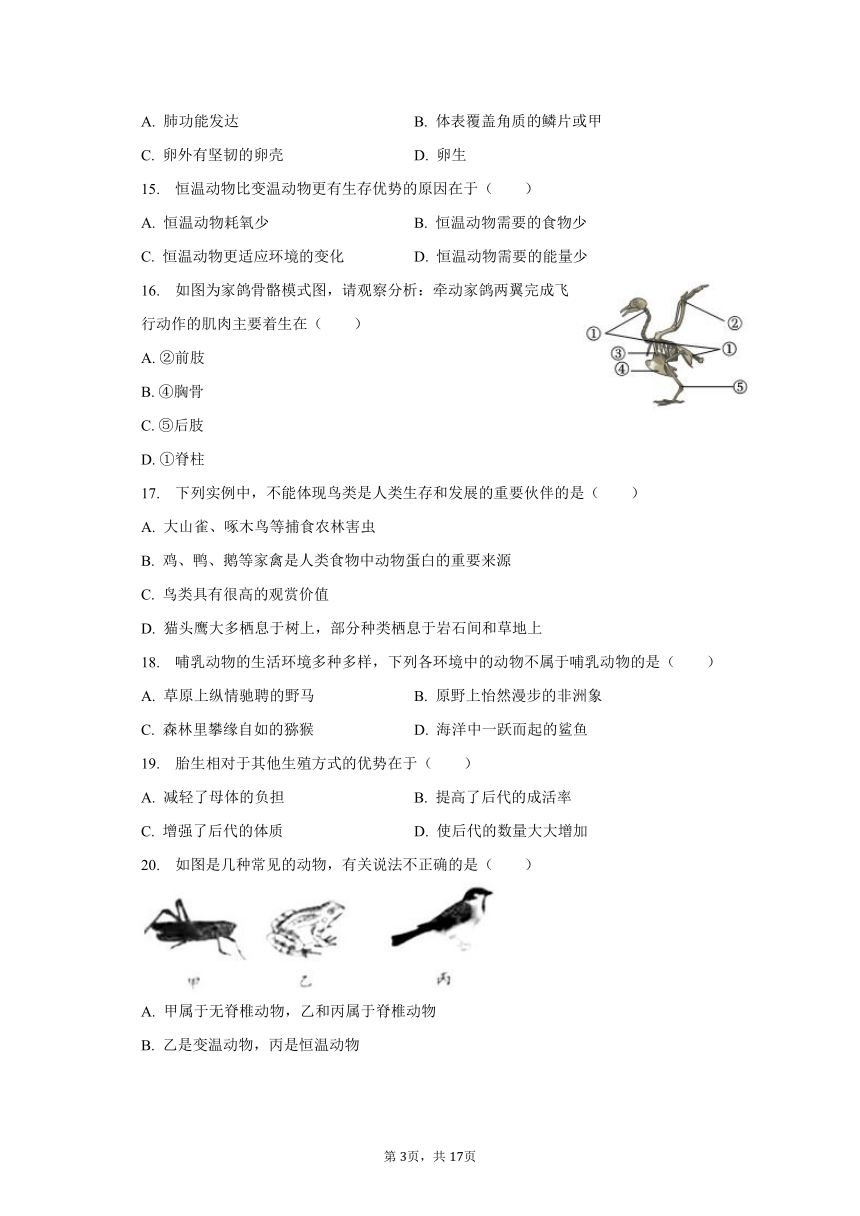 2023-2024学年河南省信阳市平桥区查山乡初级中学八年级（上）开学生物试卷（含解析）