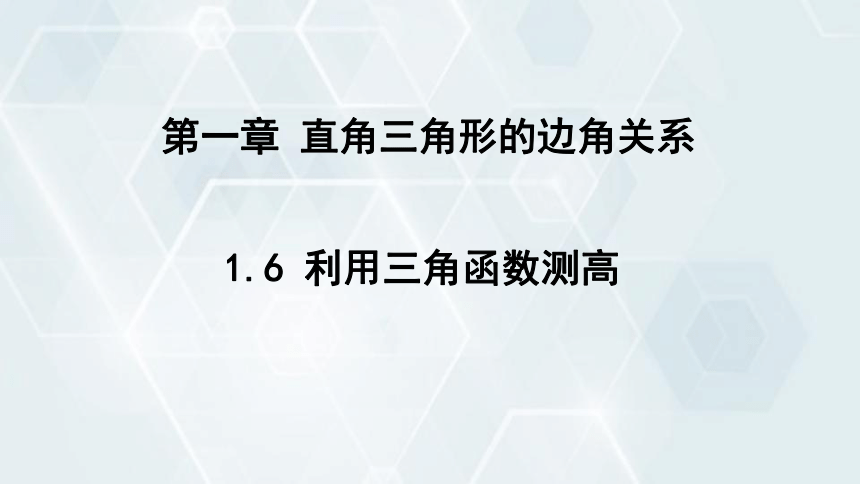 1.6 利用三角函数测高 课件(共16张PPT) 2023-2024学年初中数学北师版九年级下册