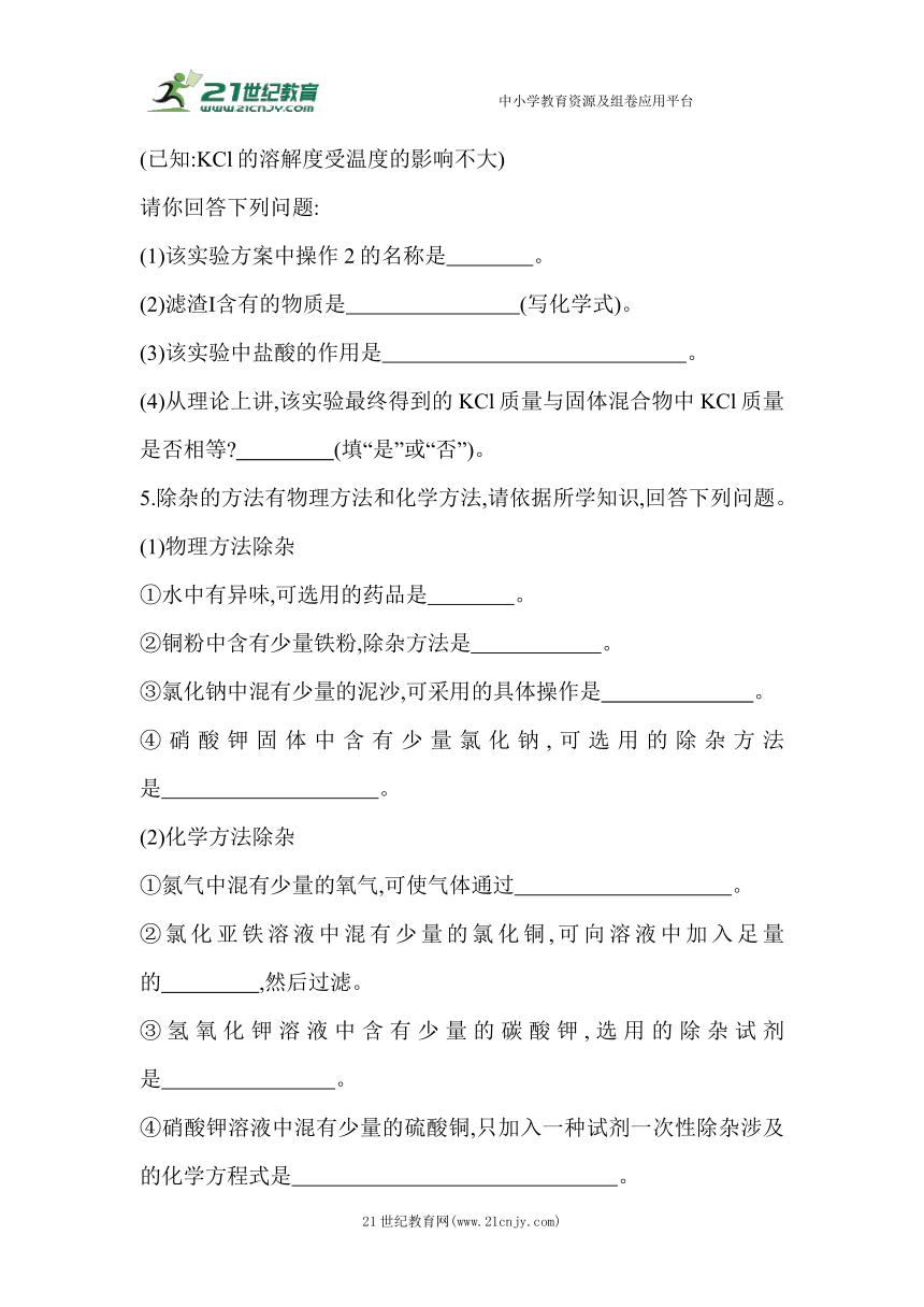 （五四制鲁教版）化学九年级全册期末复习：02-专项素养综合全练(二)　物质的除杂和提纯