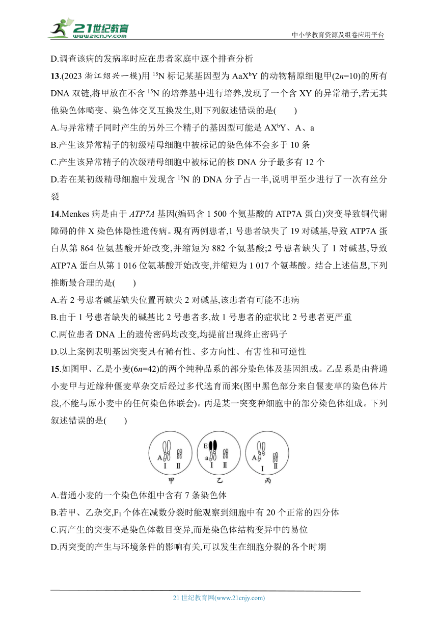 2025浙科版新教材生物学高考第一轮基础练--作业32　基因突变、基因重组和染色体畸变（含解析）