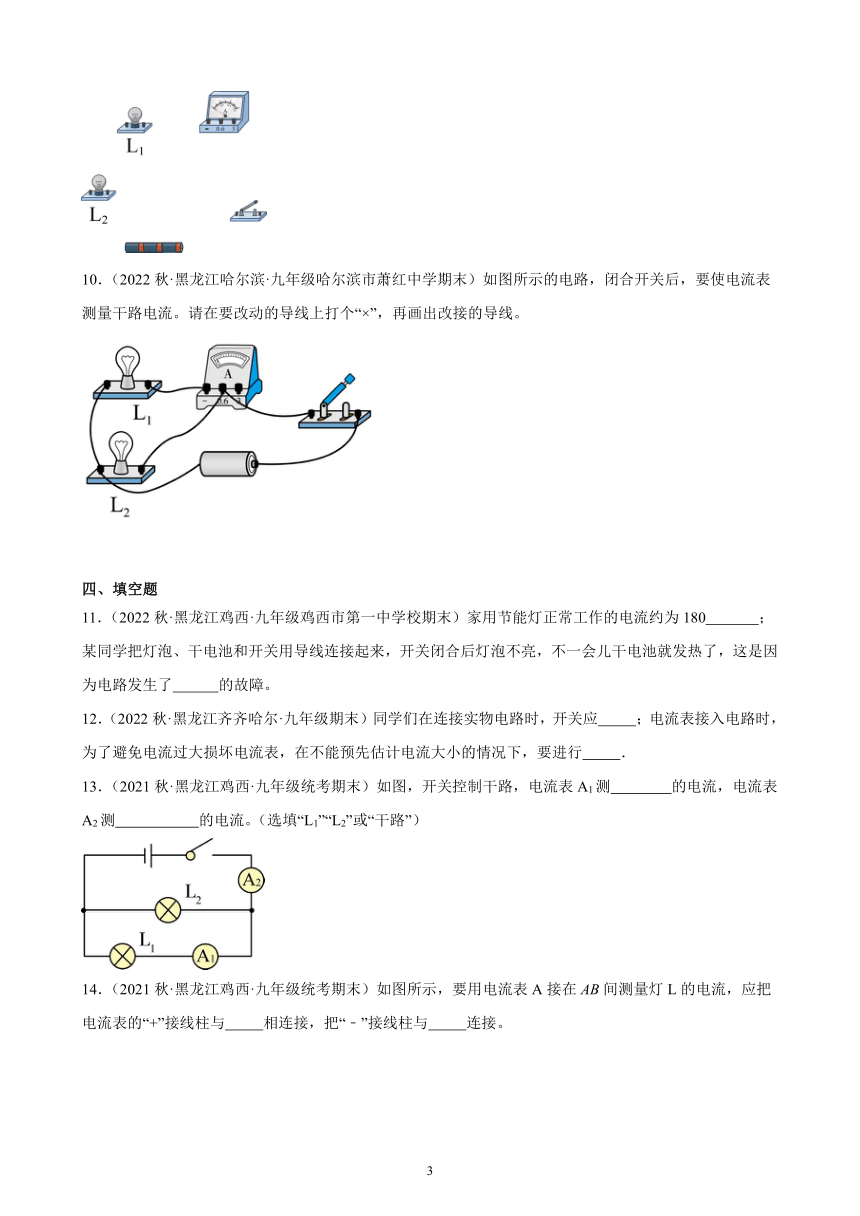 15.4 电流的测量 同步练习(含解析) 2022-2023学年上学期黑龙江省各地九年级物理期末试题选编