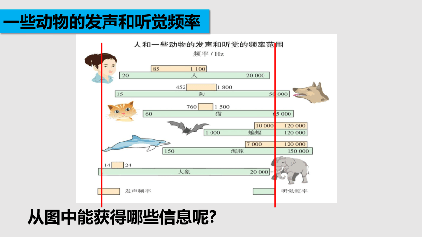 1.4 人耳听不见的声音（课件）(共31张PPT)八年级物理上册同步备课（苏科版）