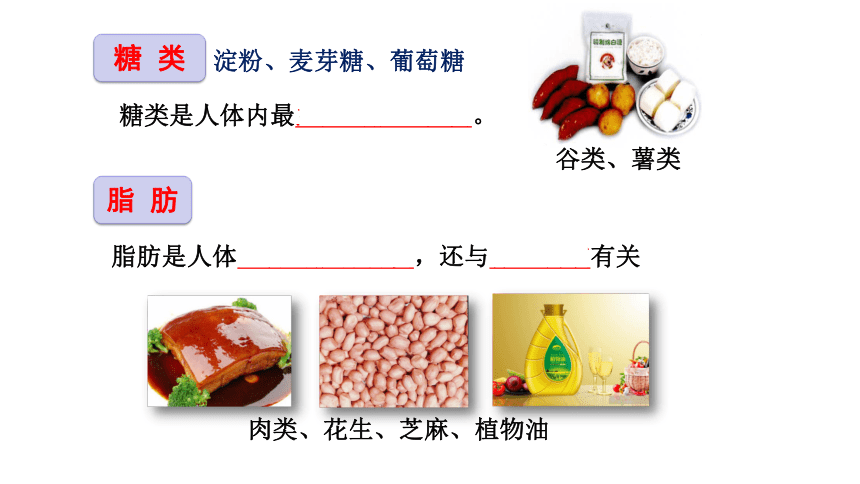 4.8 人体的营养 复习课件(共49张PPT)2022--2023学年北师大版生物七年级下册