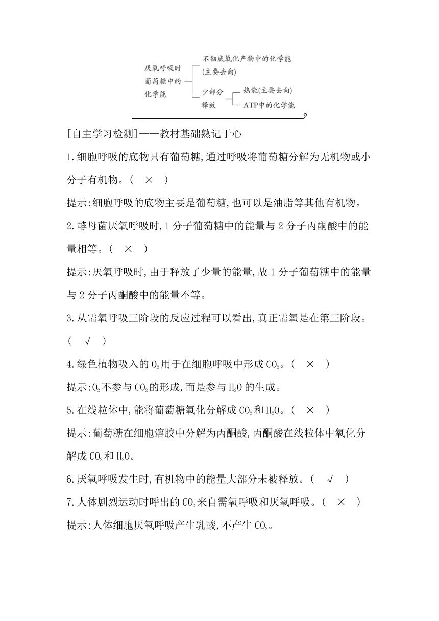 浙科版（2019）生物必修一 第三章第四节课时1　需氧呼吸与厌氧呼吸的过程学案（含解析）