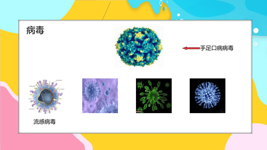 春季常见传染病预防知识 课件(共43张PPT)