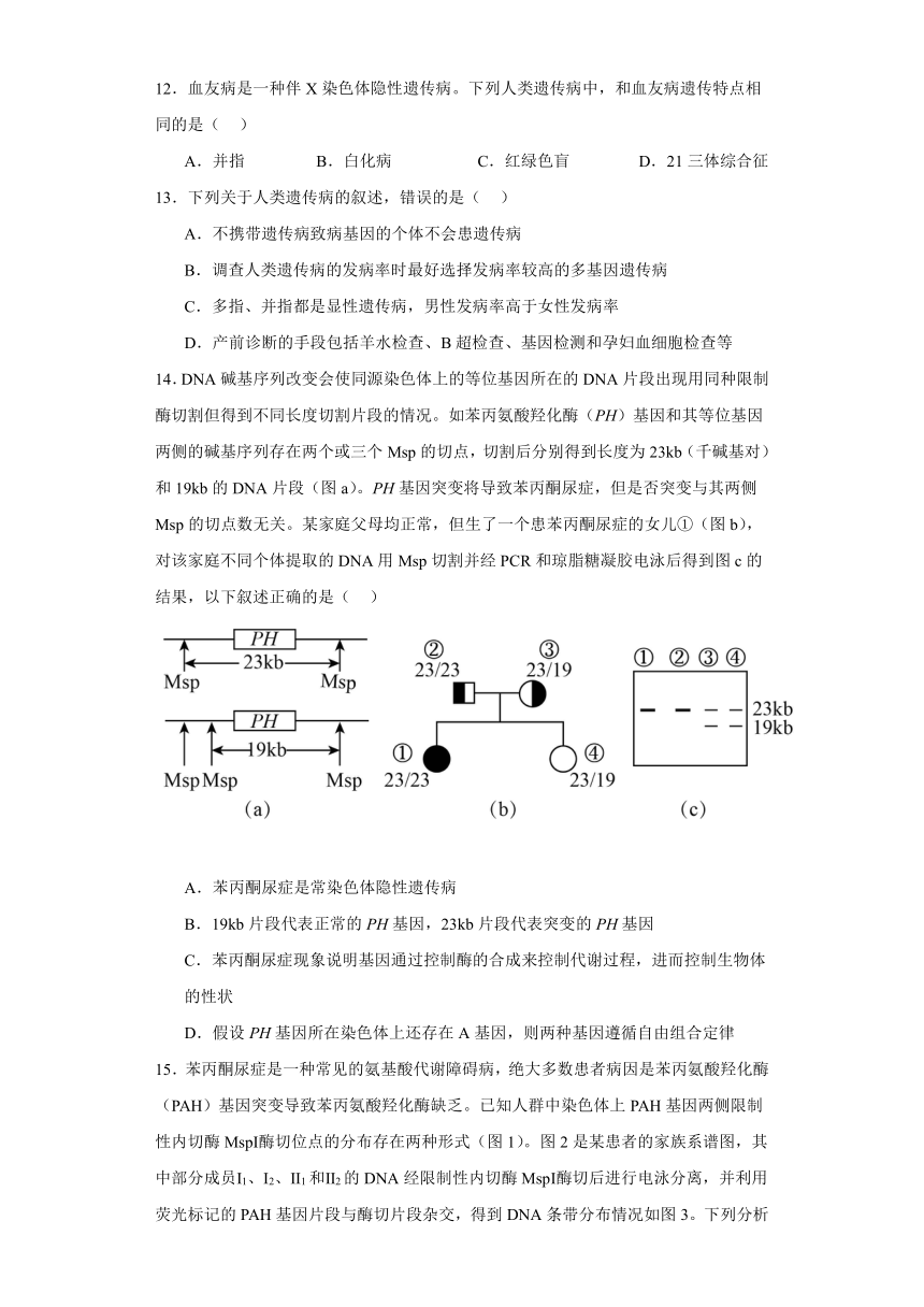 5.4人类遗传病的检测和预防 练习（解析版）