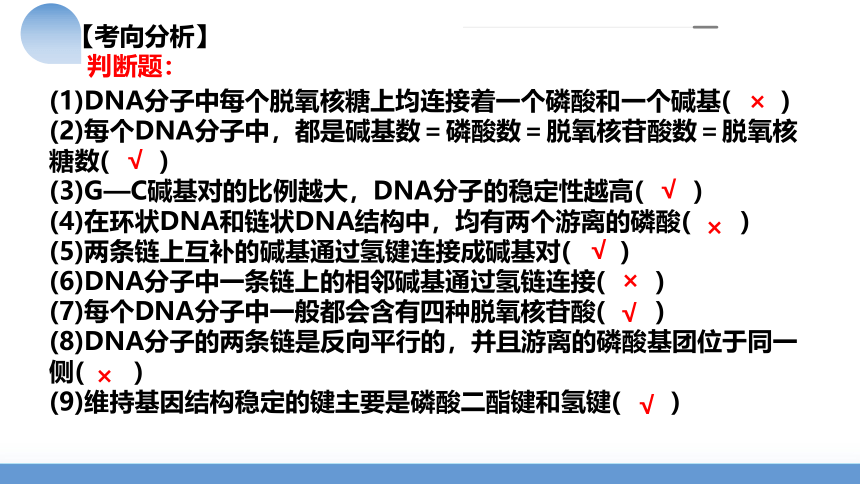 第21讲 DNA分子的结构、复制与基因的本质课件(共76张PPT)-2024年高考生物一轮复习（新教材新高考）