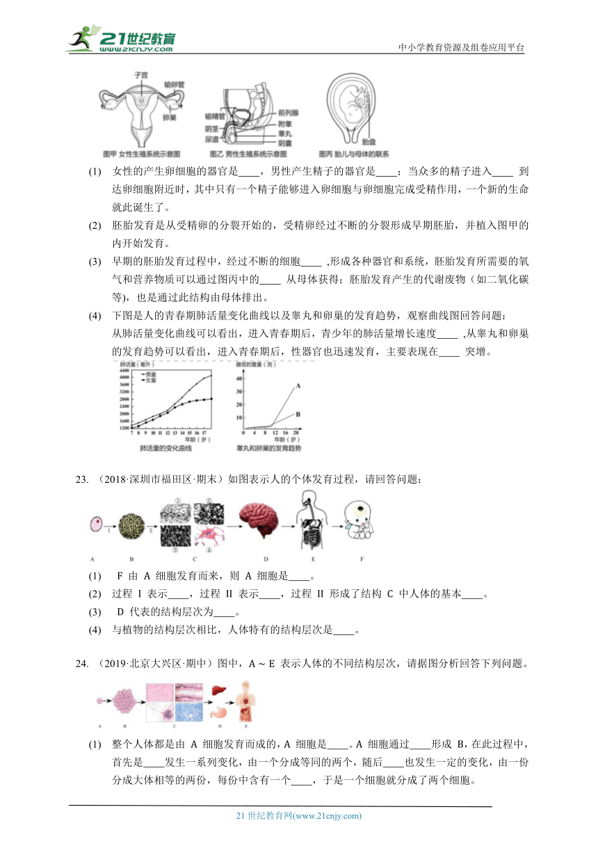 2023-2024学年初中生物鲁科版七年级上册期中测试模拟题（解析+答案）