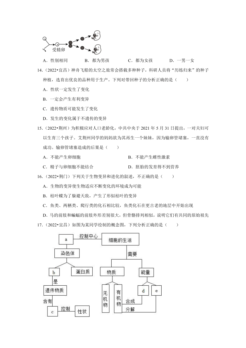 专题5生物的生殖、发育与遗传——2022-2023年湖北省中考生物试题分类（word版+解析版）