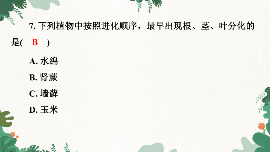 3.1.1 藻类、苔藓和蕨类植物习题课件(共21张PPT)人教版生物七年级上册