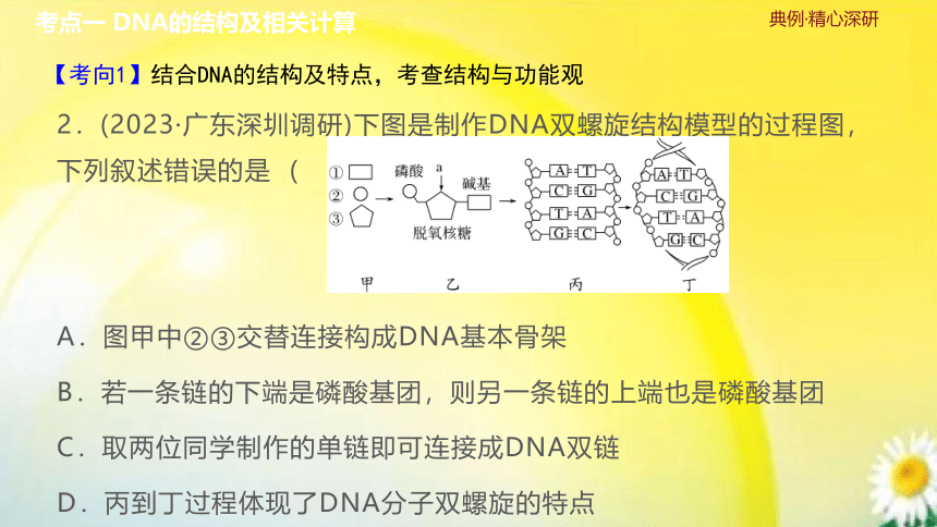 高三生物总复习课件-必修2 遗传与进化：第23讲　DNA的结构、复制及基因的本质(共33张PPT)