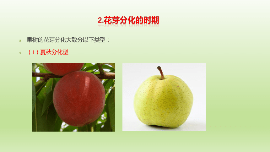 1.3.5花芽分化与开花结果 课件(共38张PPT）-《果树生产技术》同步教学（中国农业出版社）