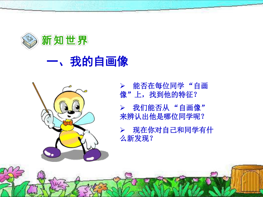 小学心理健康 不一样的你我他 课件 (19张PPT)