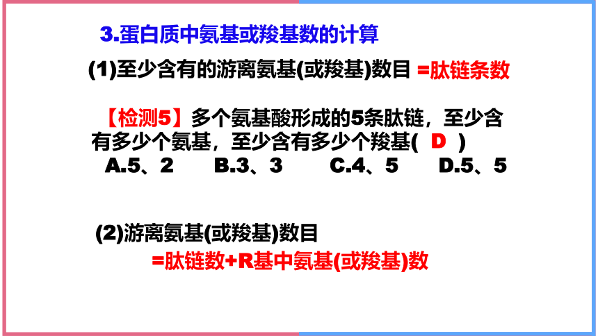 2.4蛋白质是生命活动的主要承担者(第2课时) 课件(共30张PPT)