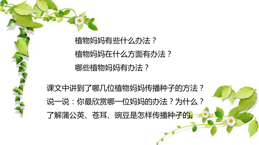 3 植物妈妈有办法 课件(共26张PPT)