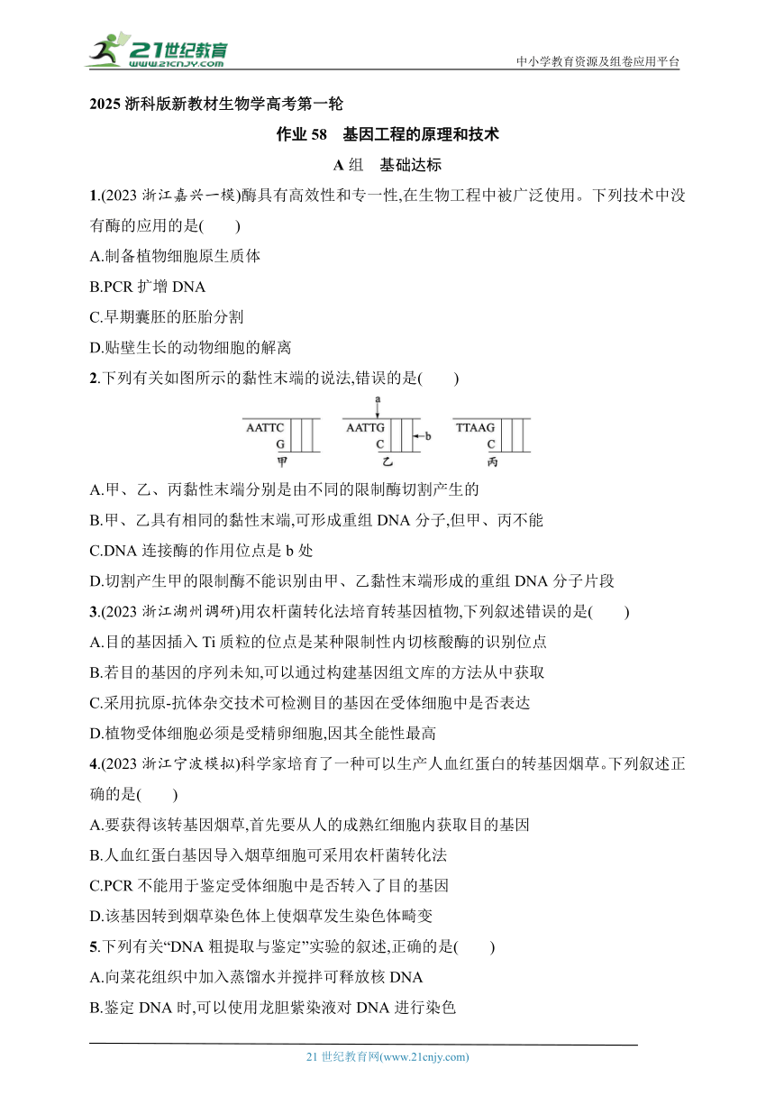 2025浙科版新教材生物学高考第一轮基础练--作业58　基因工程的原理和技术（含解析）