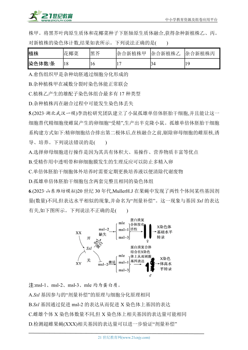 【备考2024】高中生物二轮专题练习  5.细胞的生命历程（含解析）