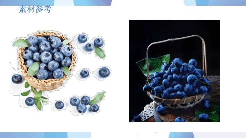 社团课程《美味的蓝莓》小学延时服务(共21张PPT)