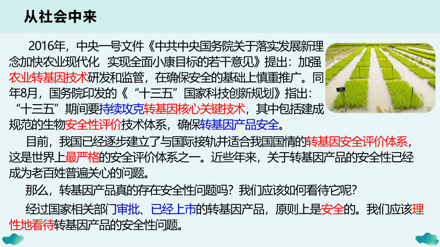 4.1转基因产品的安全性-(共18张PPT1份视频)课件人教版2019选择性必修3