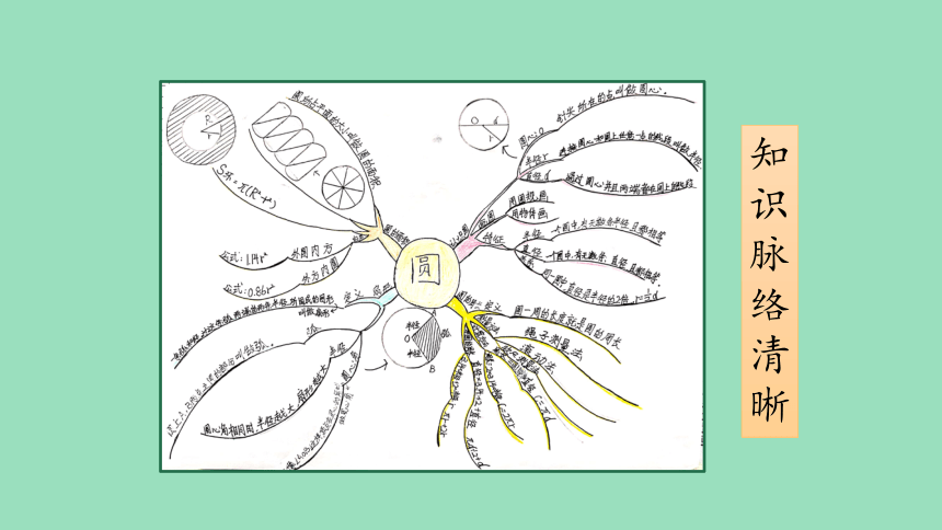 （2023秋新插图）人教版六年级数学上册 5 圆的整理和复习（第1课时）（课件）(共37张PPT)