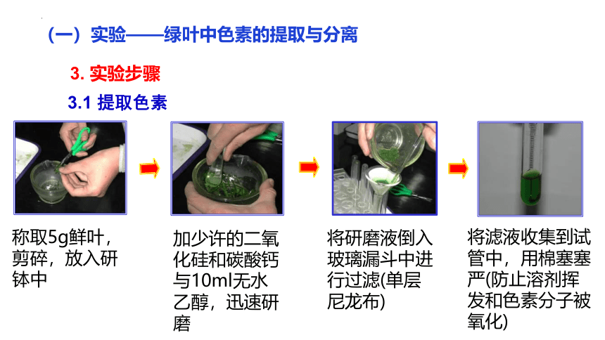 生物人教版（2019）必修1 5.4光合作用与能量转化（共73张ppt）