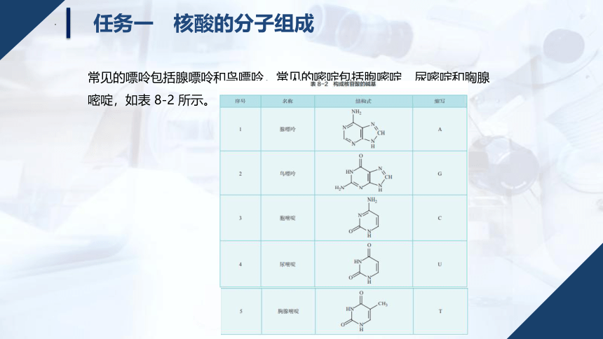 8.2核 酸 课件(共32张PPT)中职《化学》同步教学（湖南科技版）