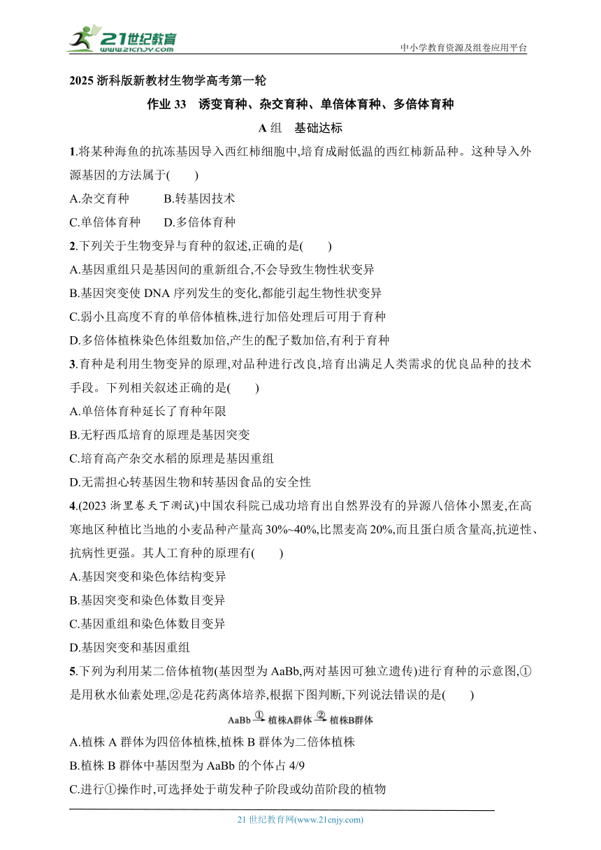 2025浙科版新教材生物学高考第一轮基础练--作业33　诱变育种、杂交育种、单倍体育种、多倍体育种（含解析）