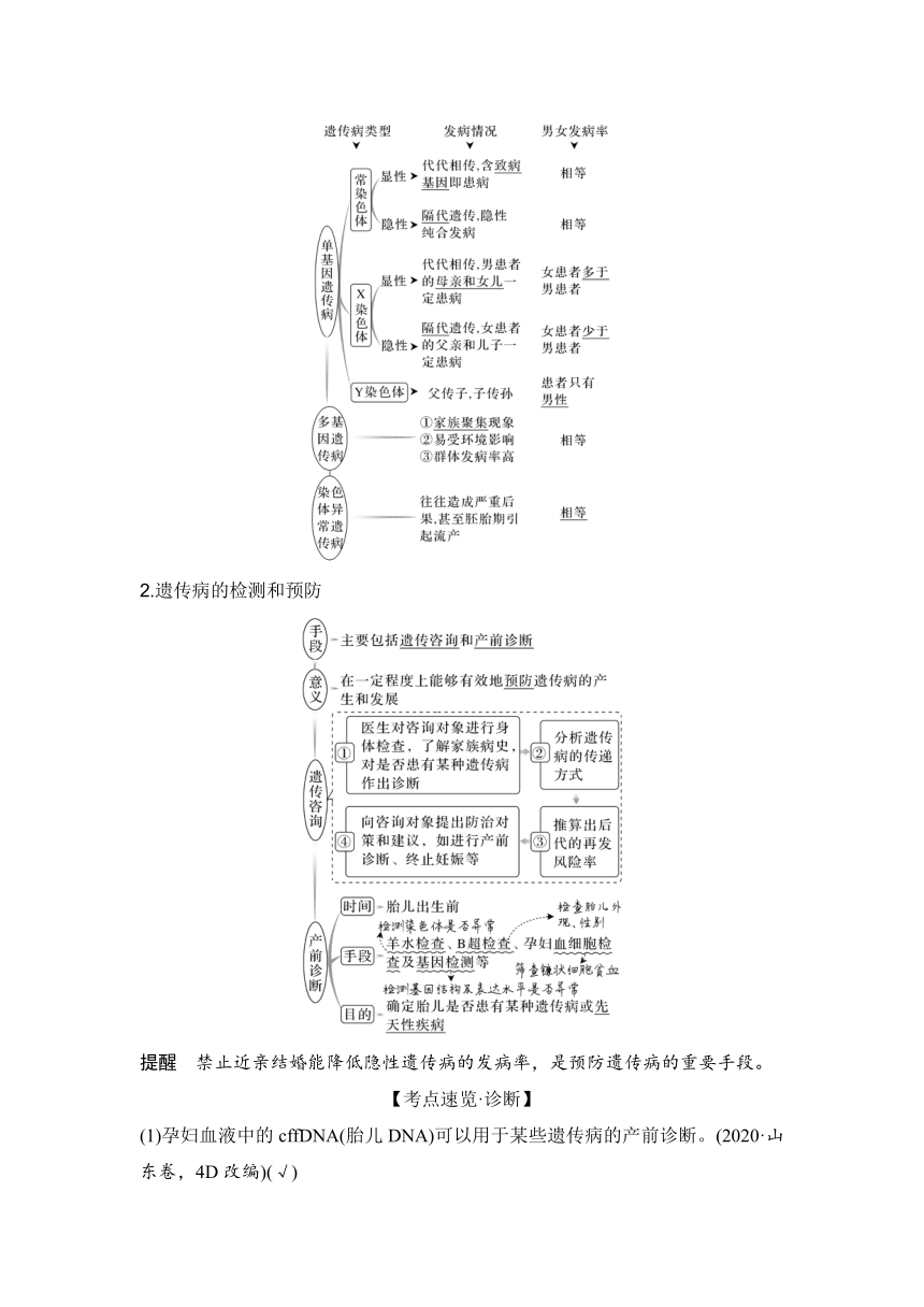【备考2024】生物学高考一轮复习学案：第20讲　人类遗传病（含解析）