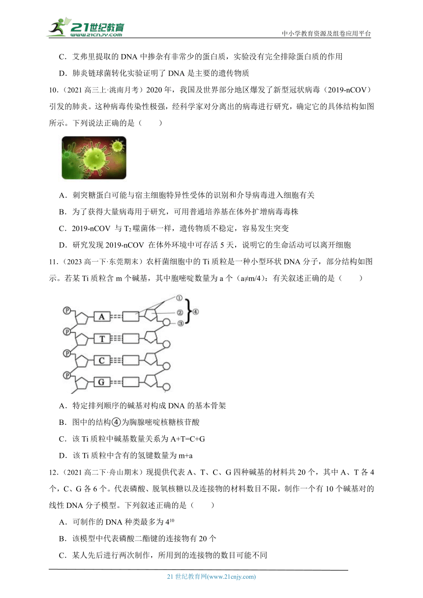 北师大版（2019）高中生物必修2遗传与进化第一章遗传信息的分子基础章节综合必刷题（含解析）