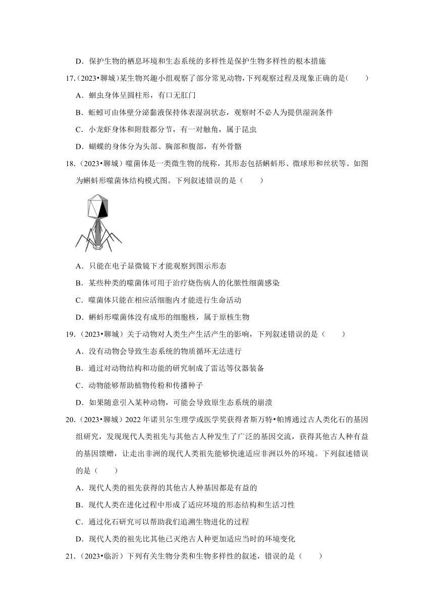 专题6生物的多样性——2022-2023年山东省中考生物试题分类（含解析）