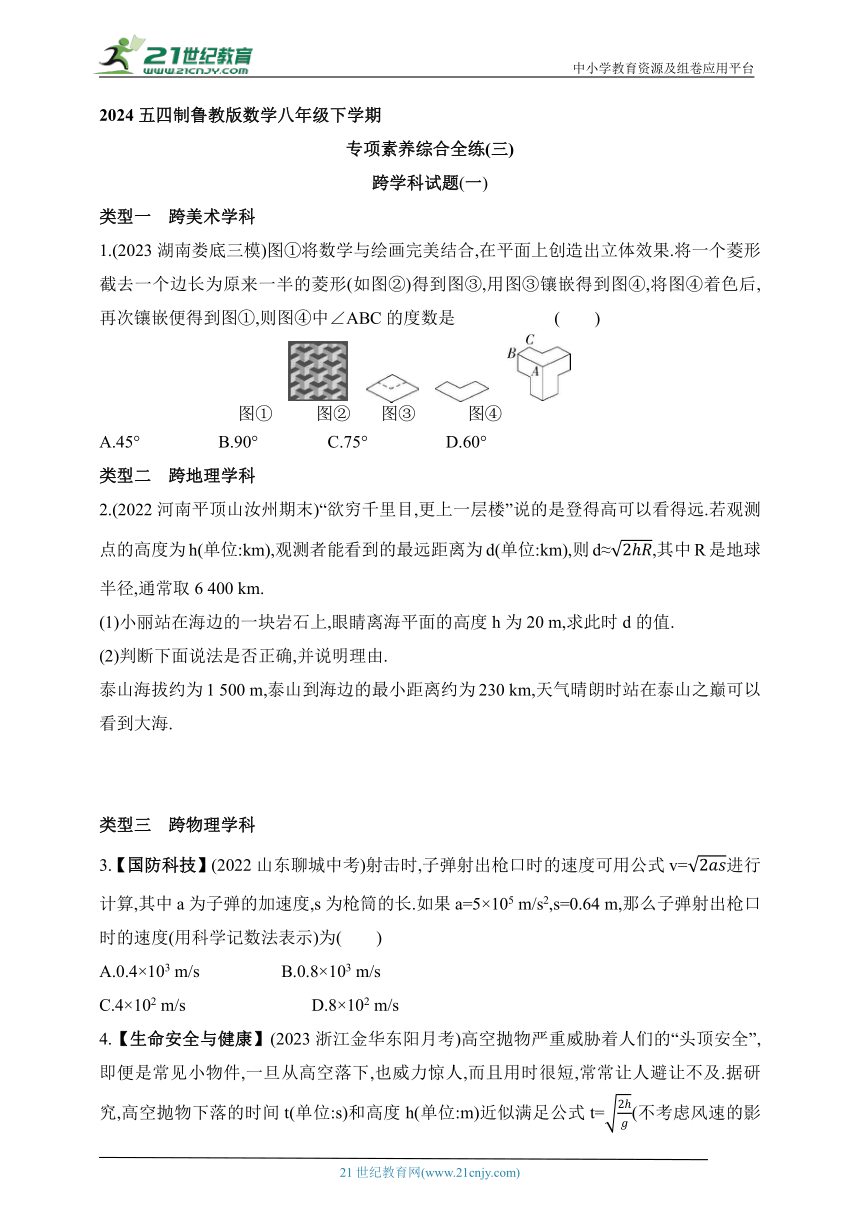 2024五四制鲁教版数学八年级下学期--专项素养综合全练(三)跨学科试题(一)（含解析）