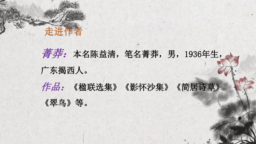 15.《小虾》课件(共21张PPT)