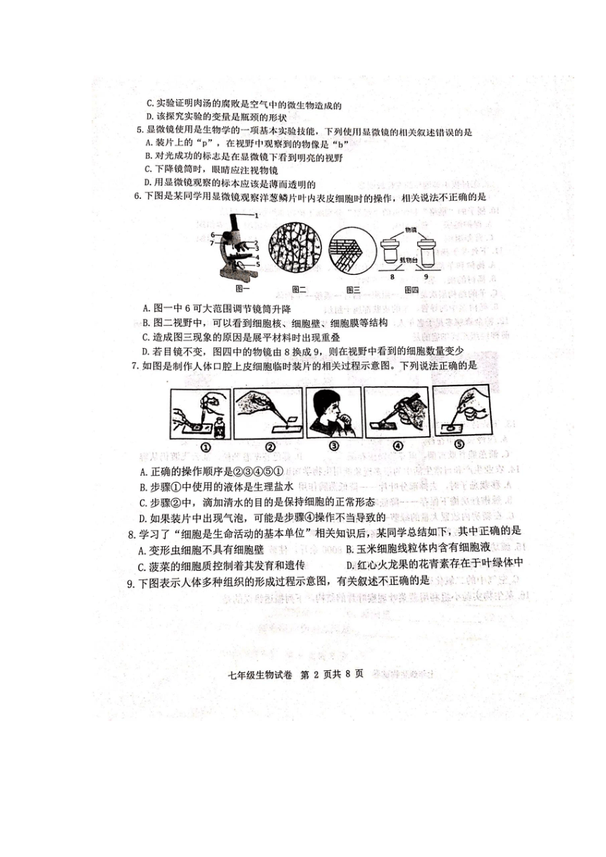 山东省潍坊市青州市2023-2024学年七年级上学期期中生物考试试题（图片版无答案）