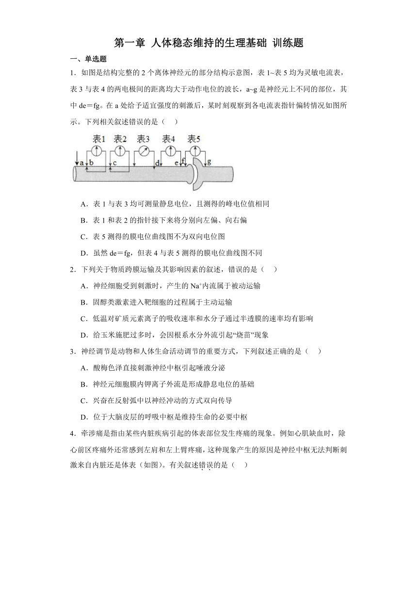 第一章 人体稳态维持的生理基础 训练题—2023-2024学年高中生物学苏教版（2019）选择性必修1（含答案）