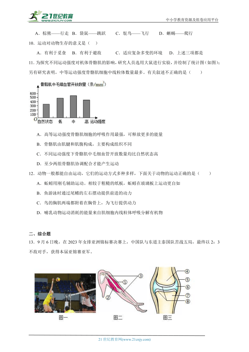 2023-2024学年初中生物济南版七年级上册期末复习专题11——动物的运动（含解析）