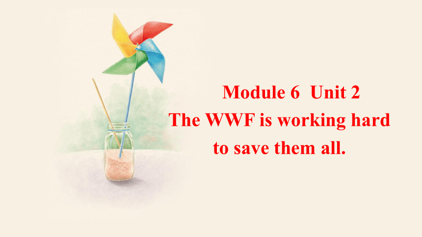 Module 6 Unit 2 The WWF is working hard  课件(共22张PPT)+内嵌音频