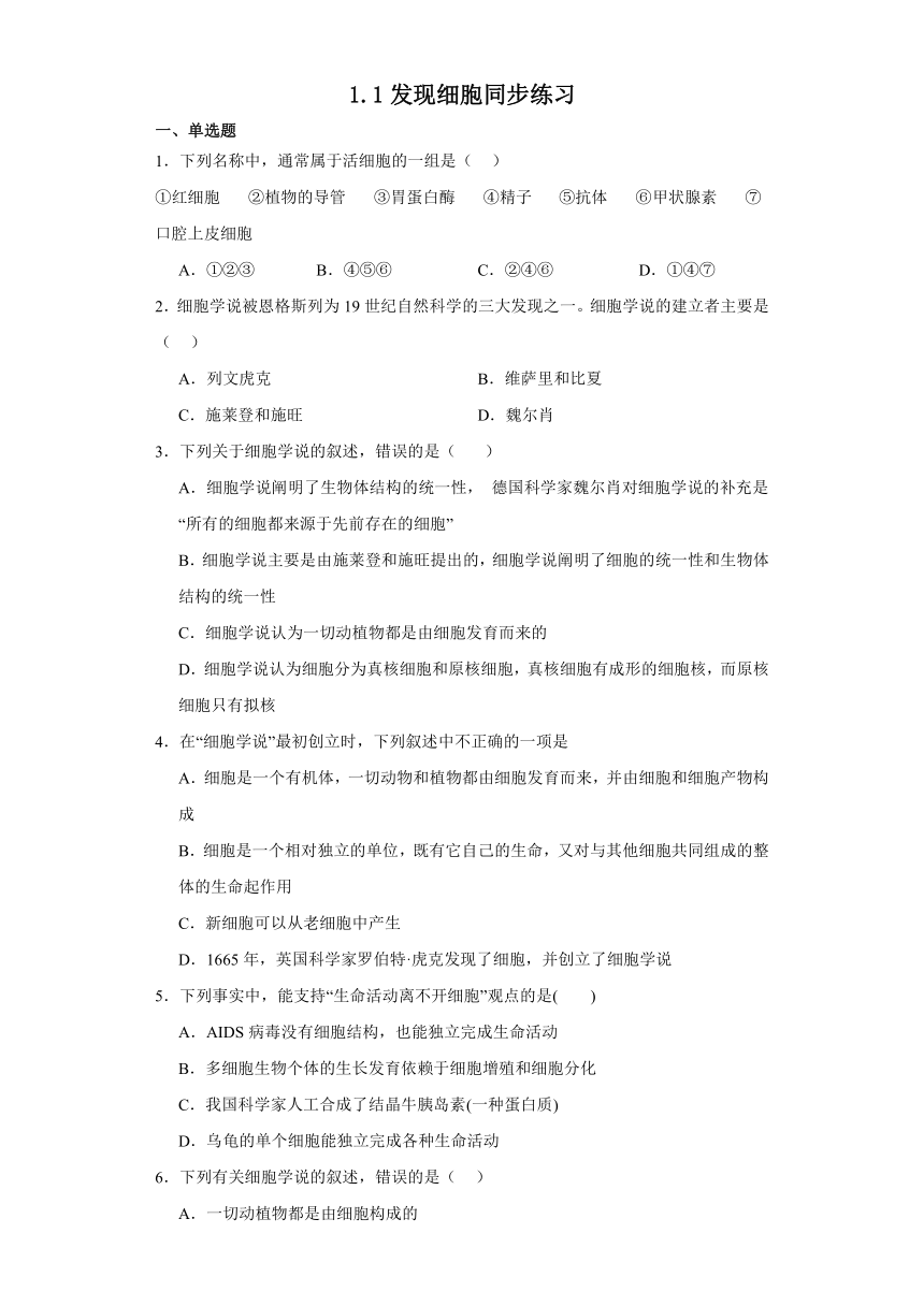 1.1发现细胞同步练习2023-2024学年高一上学期生物北师大版必修1（含答案解析）