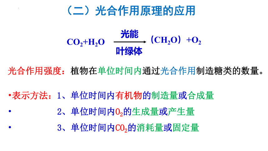 5.4.3光合作用与能量转化影响因素课件-(共24张PPT)人教版（2019）必修1